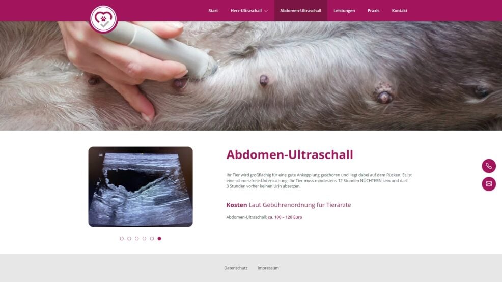 Website Kardiologische Sprechstunde für  Tierarztpraxis am Stern, Norma Weiß 