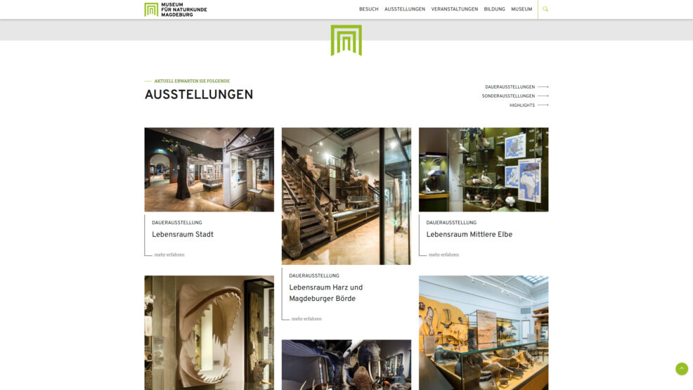 Webdesign und Programmierung Naturkundemuseum für  Museen Magdeburg 