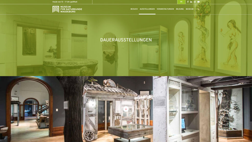 Webdesign und Programmierung Naturkundemuseum für  Museen Magdeburg 