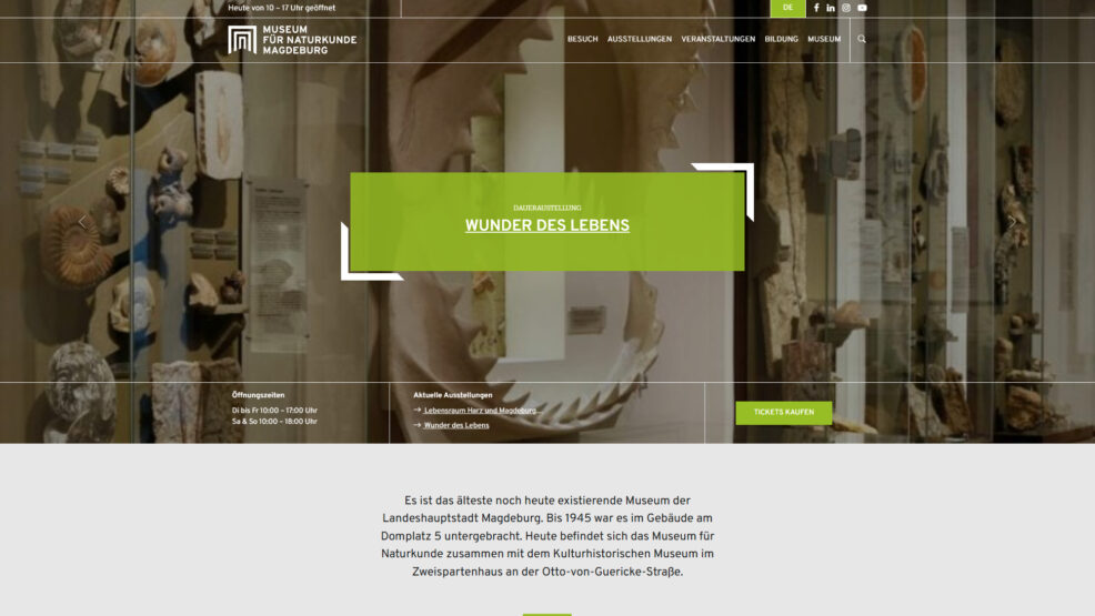 Webdesign und Programmierung Naturkundemuseum für  Museen Magdeburg 